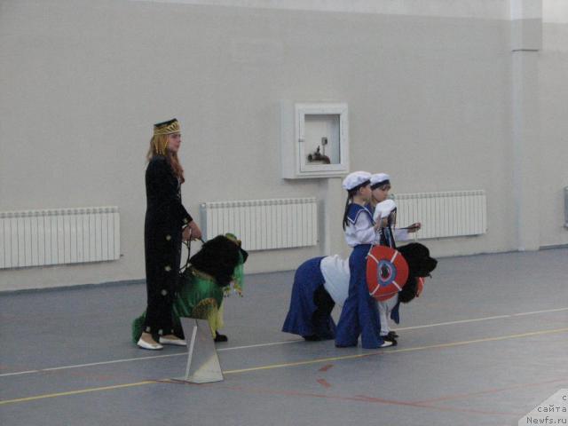 Фото: ньюфаундленд Рокот Волны Варга Кара Аюлар (Rokot Volny Varga Kara Ayular), Катеринка Классен, ньюфаундленд Оттава (Ottava)