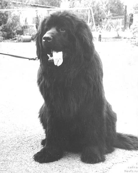 Фотография № 2732