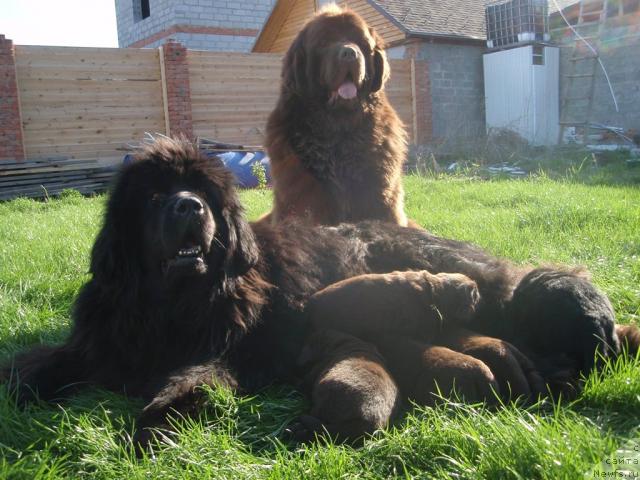 Фотография № 27343