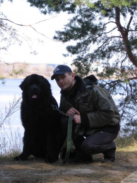 Фото: Александр Хижняк