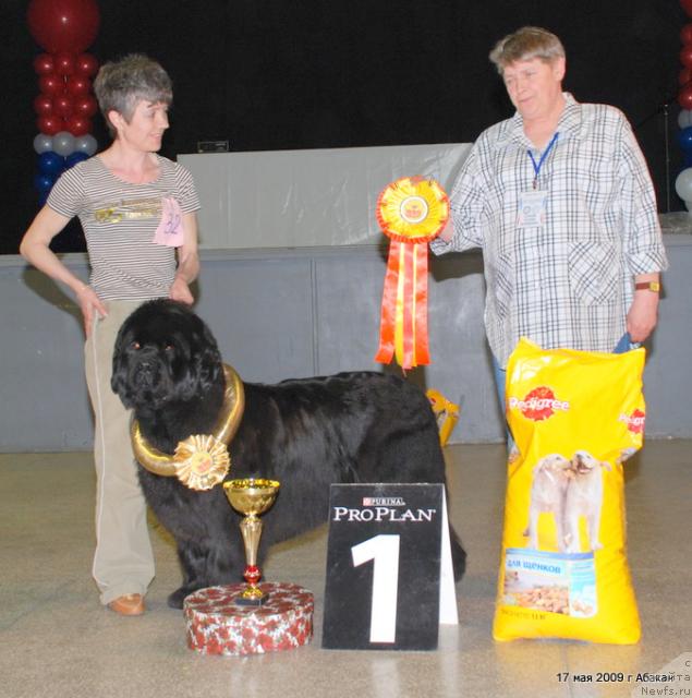 Фотография № 27365