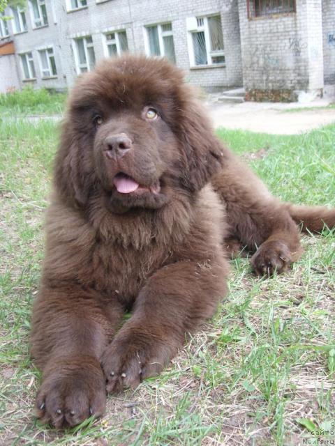 Фотография № 27368