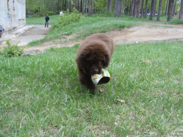 Фотография № 27370