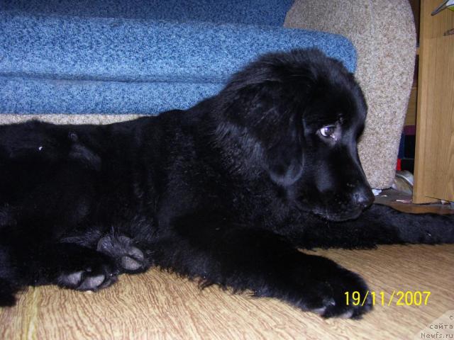 Фото: Ирина Игнатьева