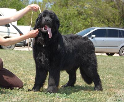 Фотография № 27425