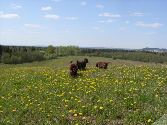 Фотография № 27436