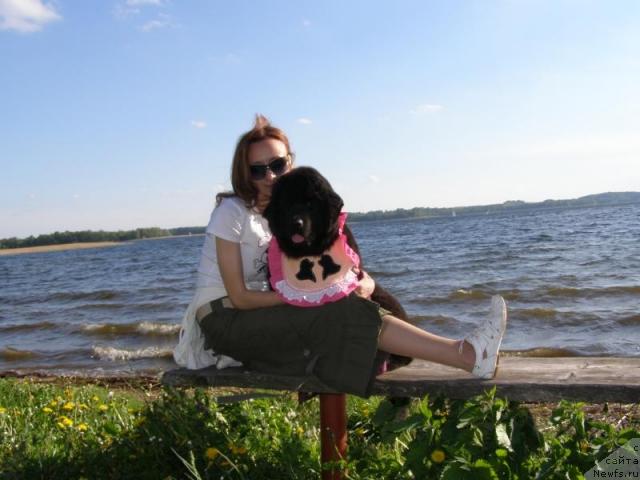 Фото: Екатерина Бернасовская, ньюфаундленд Fairweathers Rendition