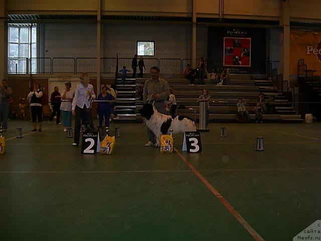 Фотография № 27468