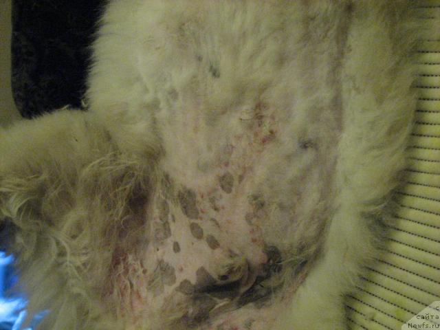 Фотография № 27469