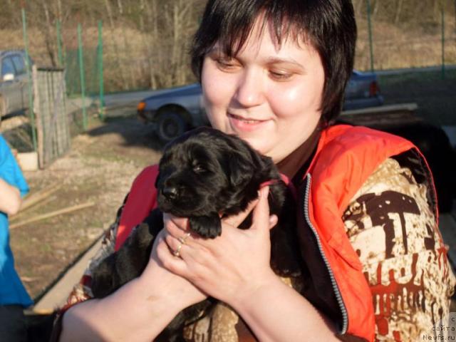 Фото: ньюфаундленд Акватория Келвин Графиня Вишенка