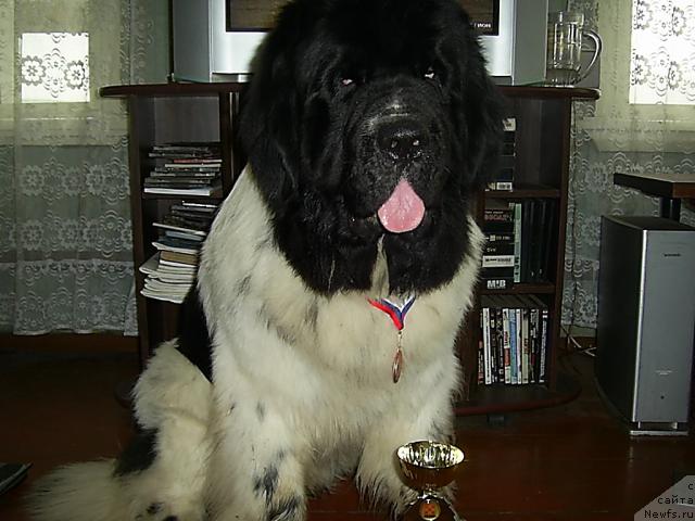 Фотография № 27495