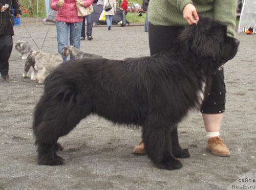 Фотография № 27498