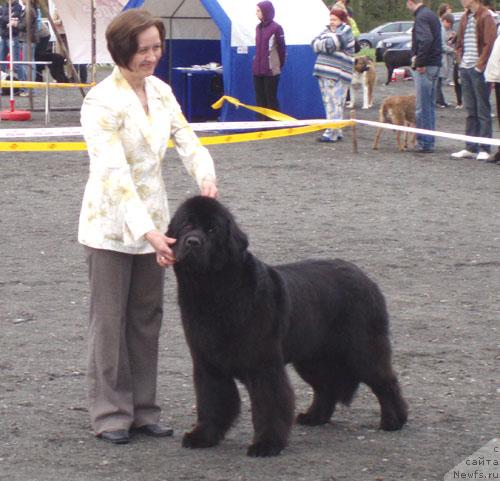 Фотография № 27499