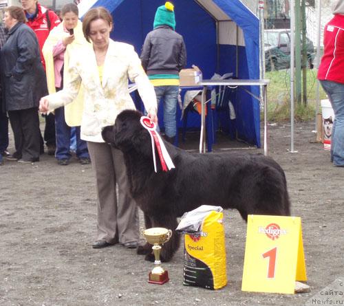 Фотография № 27501