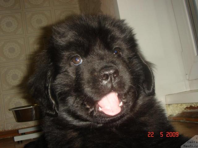 Фото: Игорь Шевченко