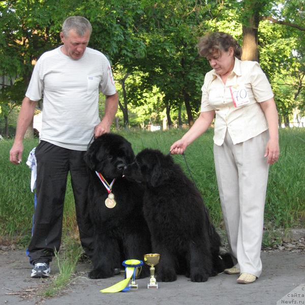 Фото: ньюфаундленд Закадычный Друг с Берега Дона (Zakadychny Dryg s Berega Dona), ньюфаундленд Кингова Дочь с Берега Дона (Kingova Doch s Berega Dona)