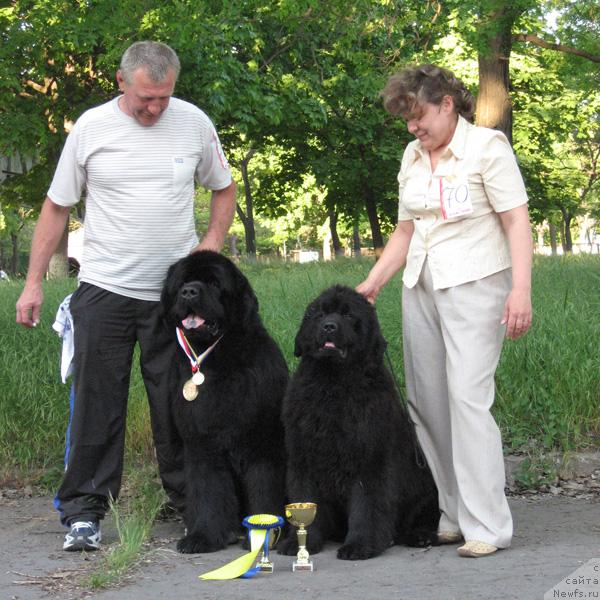 Фото: ньюфаундленд Закадычный Друг с Берега Дона (Zakadychny Dryg s Berega Dona), ньюфаундленд Кингова Дочь с Берега Дона (Kingova Doch s Berega Dona)
