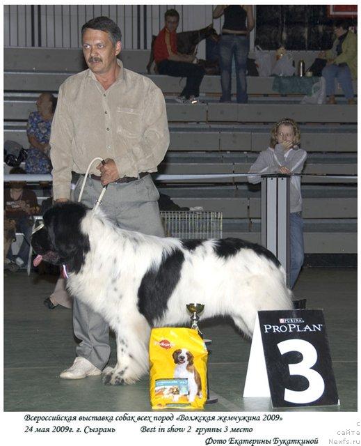 Фотография № 27588