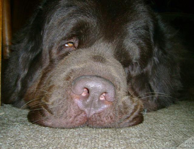 Фотография № 27679