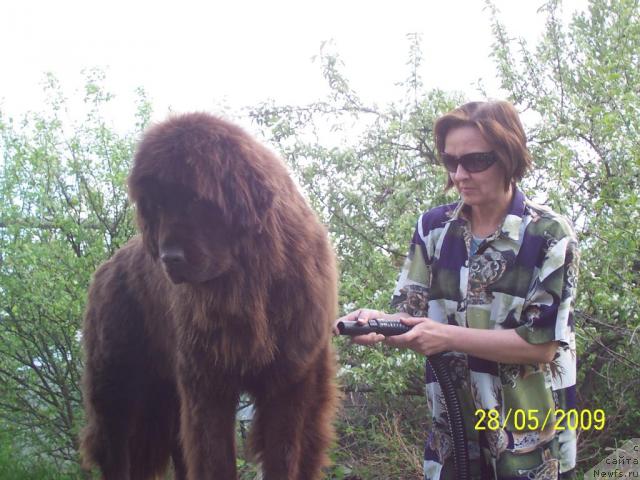 Фотография № 27910