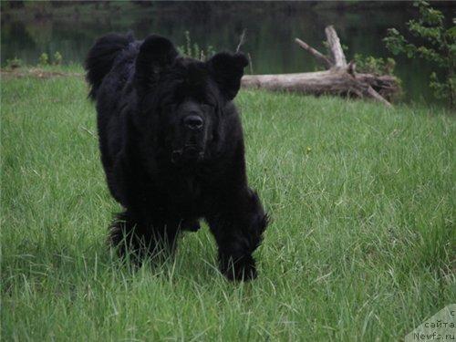 Фотография № 27919