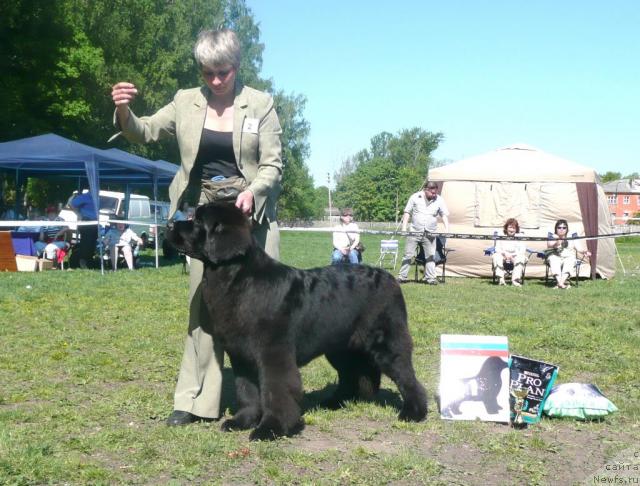 Фотография № 27923