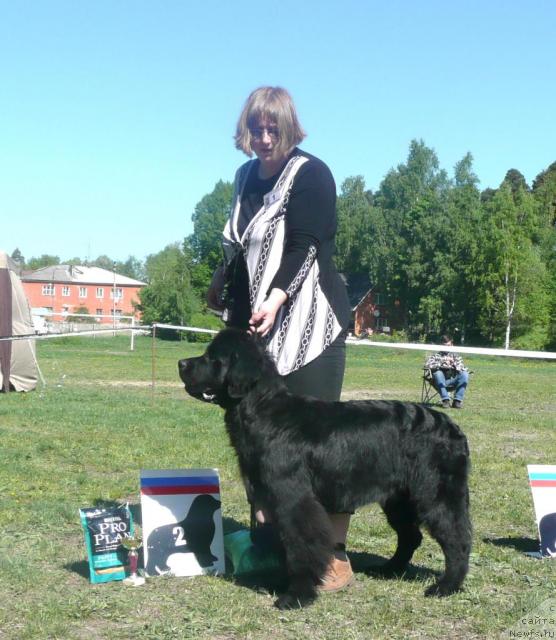 Фотография № 27925