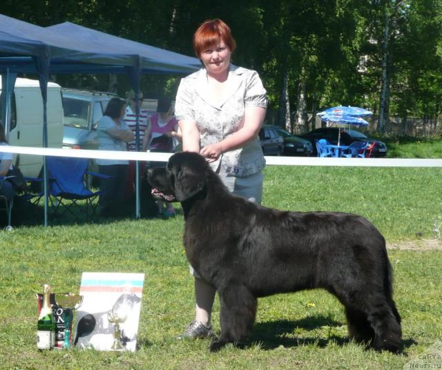 Фотография № 27929