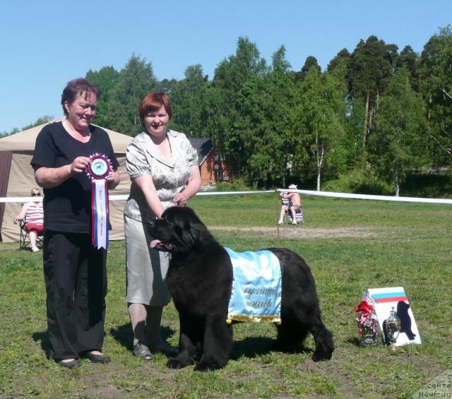 Фотография № 27932