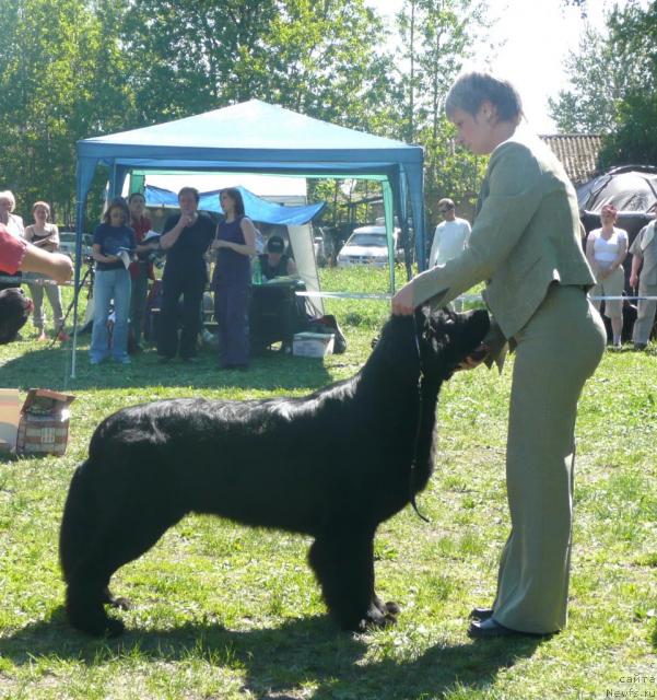 Фотография № 27934