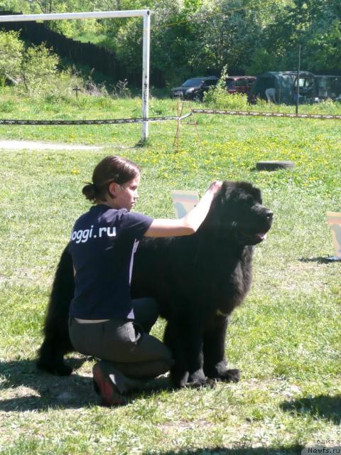 Фотография № 27936