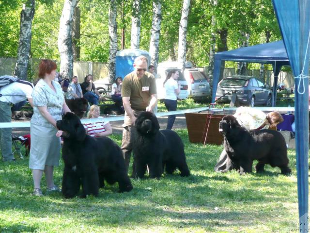 Фотография № 27938