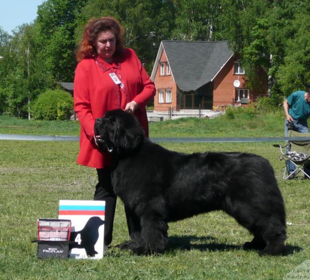 Фотография № 27947