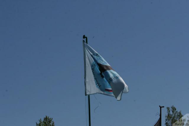 Фотография № 27954