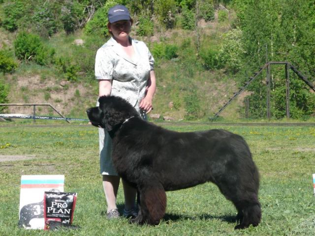 Фотография № 27955