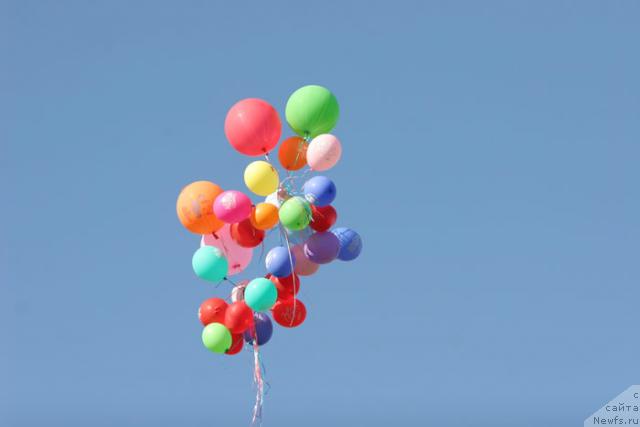 Фотография № 27956