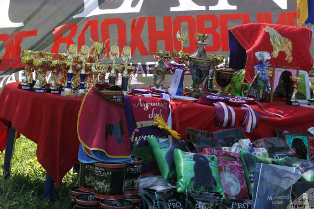 Фотография № 27960