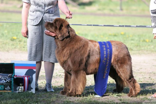 Фотография № 27965