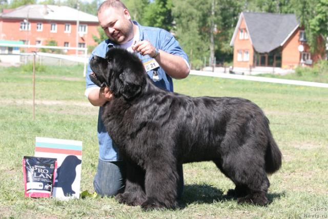 Фотография № 27970