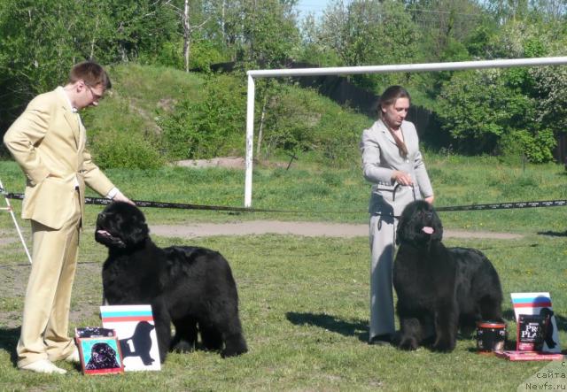 Фотография № 27971