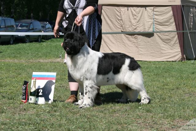 Фотография № 27972