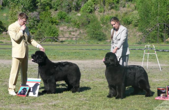 Фотография № 27973