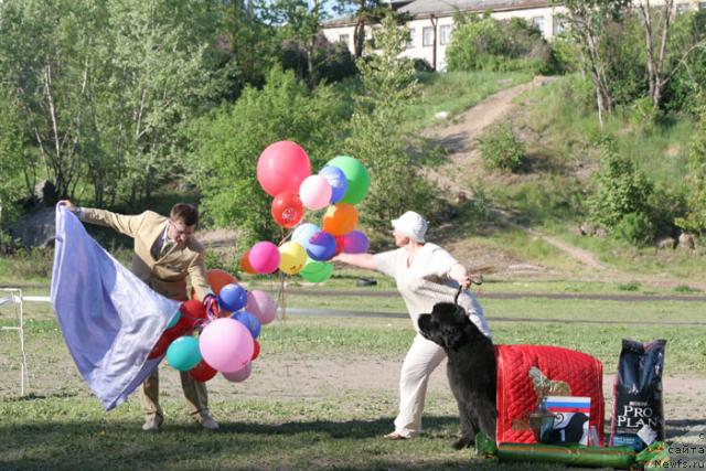 Фотография № 27975