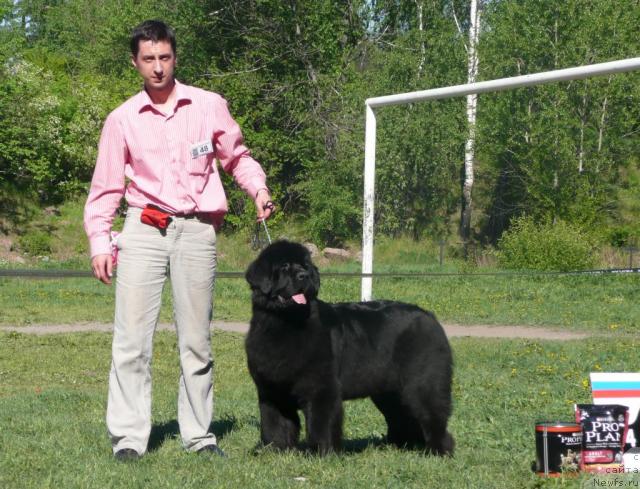 Фотография № 27976