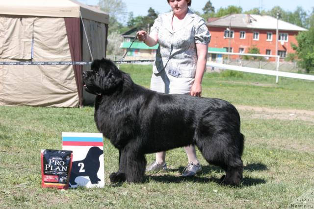 Фотография № 27981