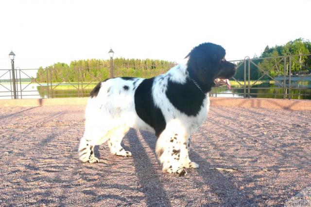 Фотография № 27983