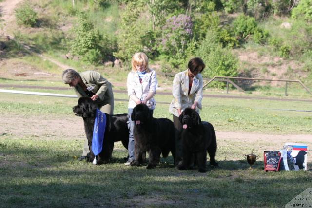 Фотография № 27987