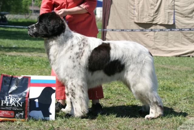 Фотография № 27988