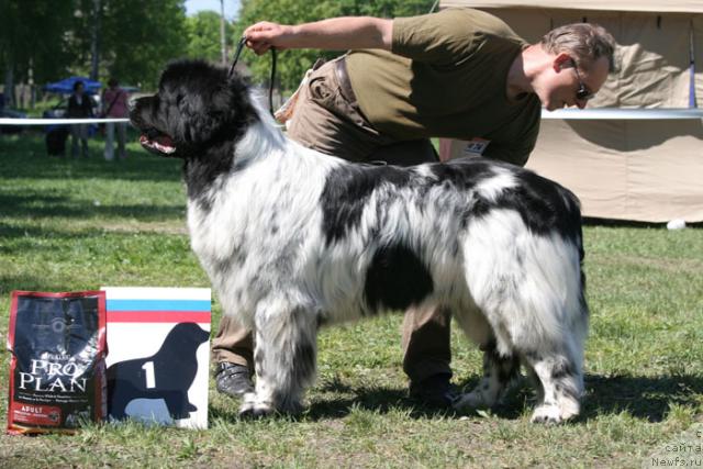 Фотография № 28000