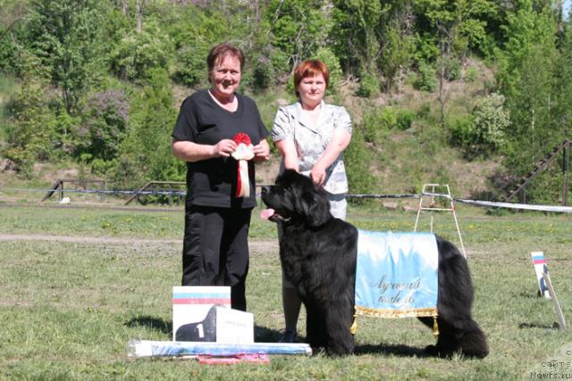 Фотография № 28003